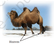 Screenshot 2026 04 21 104347.png