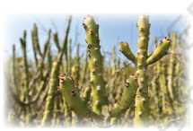 Screenshot 2026 04 21 104324.png