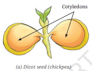 Screenshot 2026 04 21 103912.png