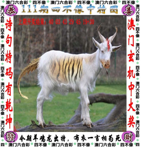 amsbx.jpg