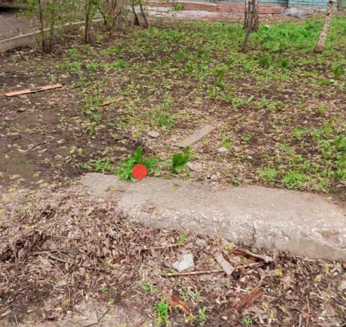 photo.jpg