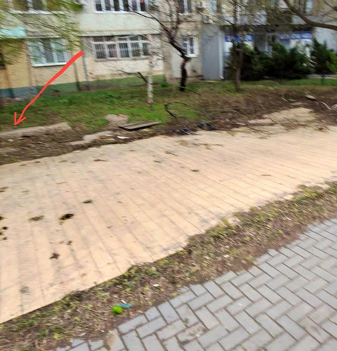 photo.jpg