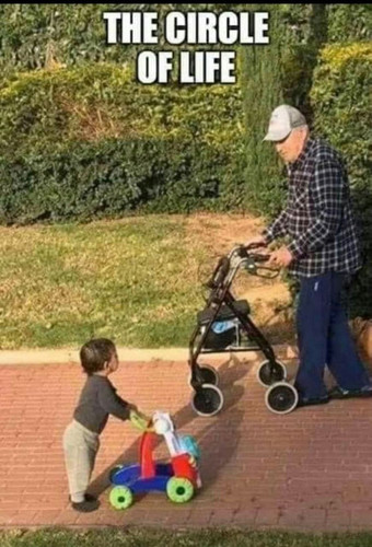 circle of life.jpg