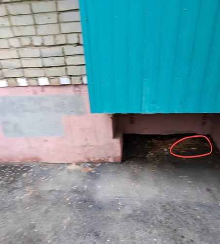 photo.jpg