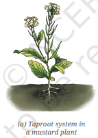 Screenshot 2026 04 21 103723.png