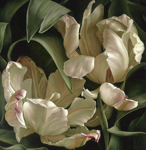 magnolia.jpg