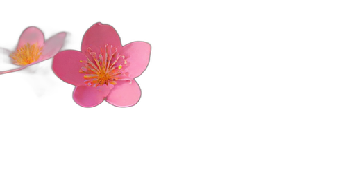 c2b5d1434aef.png