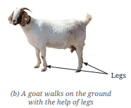 Screenshot 2026 04 21 104154.png