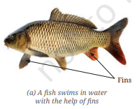 Screenshot 2026 04 21 104145.png