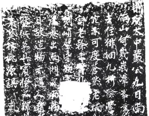 IMG 0737.webp