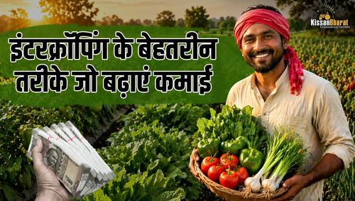 1776689826 intercropping.png