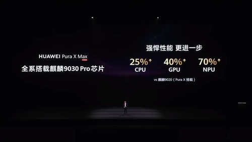 puraxmax chip.jpg