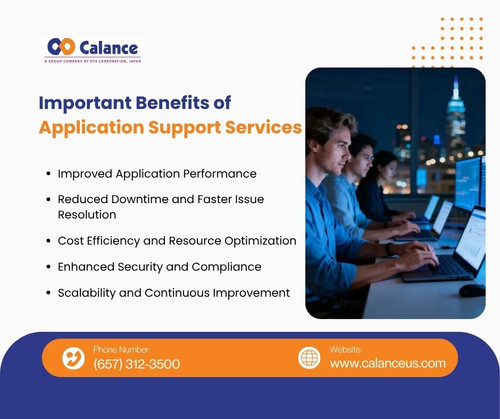 Important Benefits of Application Support Services.jpg