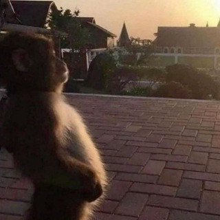 DZcIFR2VvCc27uL 0GFdchmKX2A8S3WeFK1TYRVMZDQ6pafPIfVnkVk TR7UdkNhGi6BwC6oX lH11fkId dVgDlfZGL6X NqmVc.jpg