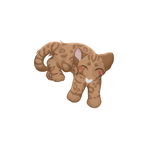 IMG 9791.png