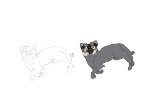 IMG 9795.png