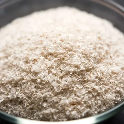Psyllium Husk %E0%A6%87%E0%A6%B8%E0%A6%AC%E0%A6%97%E0%A7%81%E0%A6%B2%E0%A7%87%E0%A6%B0 %E0%A6%AD%E0%.webp