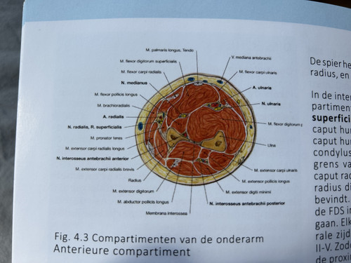 209c8cfe3654.jpg