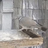 324532523.gif