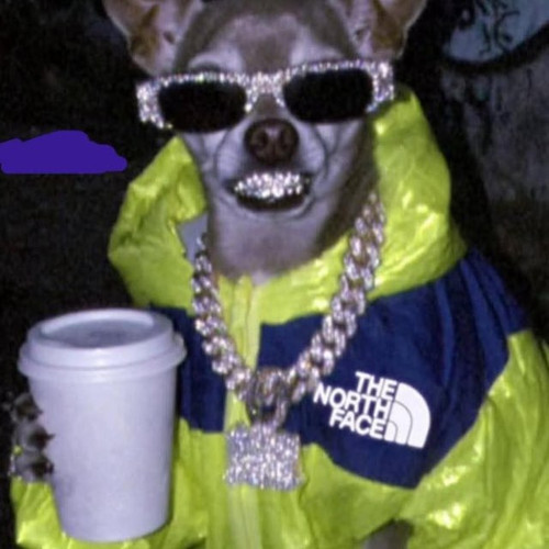 Zee.jpg