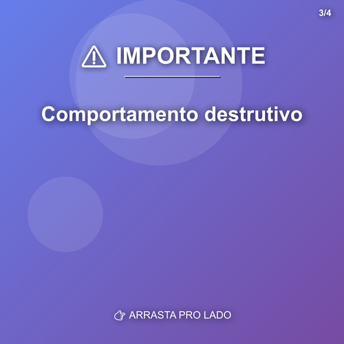 carousel 1776808808035 slide3.png