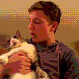 angry car bites boys nose funny gif.gif