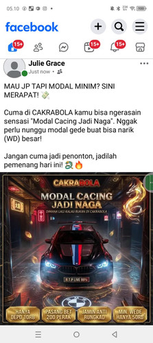 48a85b0c 5b87 47c9 9549 f2fb044c50eb.jpg