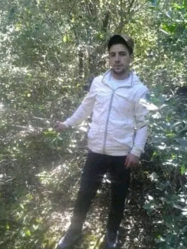 temp.png
