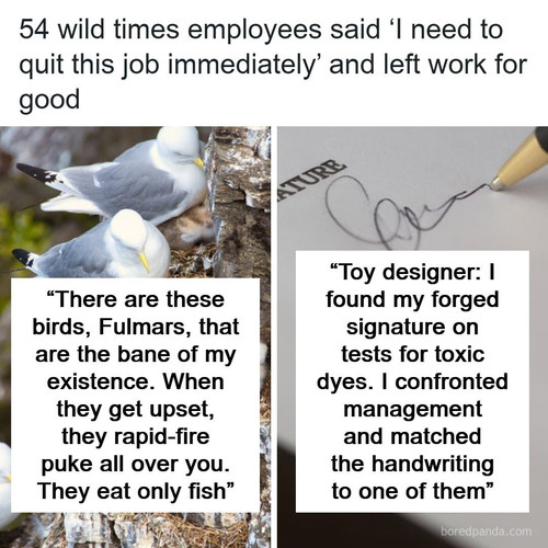 craziest need quit job immediately stories.jpg