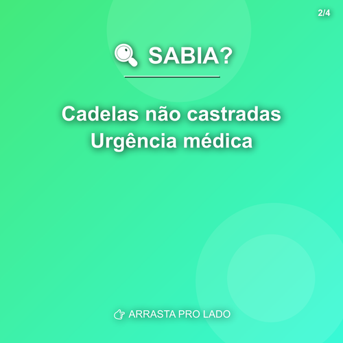 carousel 1776776941278 slide2.png