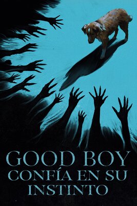 Good Boy [2025] [DVD5-R1] [Latino]
