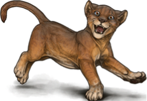 LiodenLogo.png