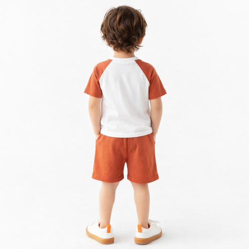 ECB 133RUST(1)(1).png