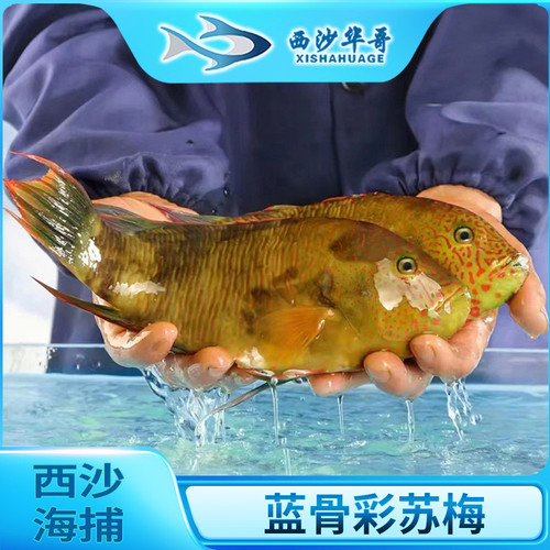 39790023218d.jpg