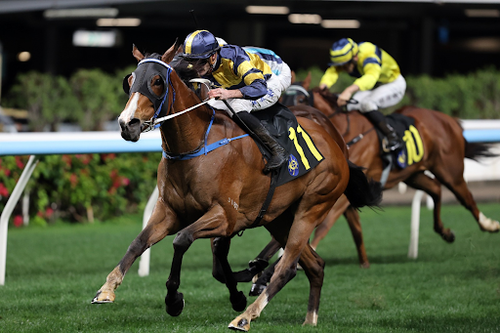 India Horse Race Result for Accurate Nationwide Race Updates.png