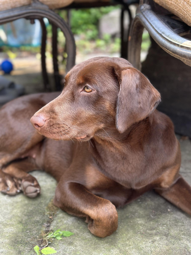 Brbjdhb fotor 202604224580.png