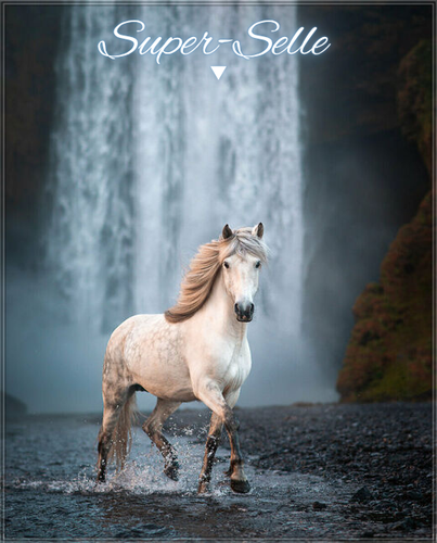 Super Selle 20260420 193722 0000.png