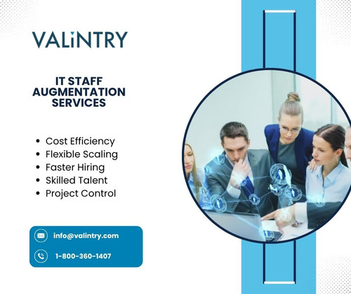 IT Staff Augmentation Services.jpg