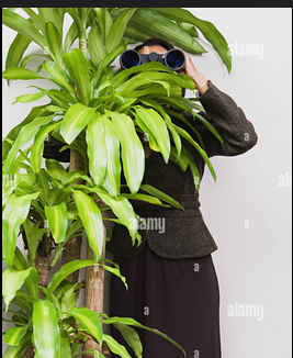 spying.png