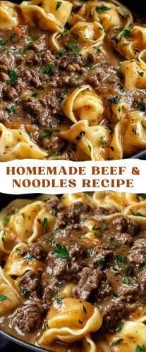 Homemade Beef and Noodles.2