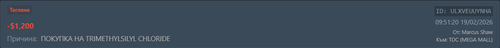 FiveM GTAProcess ODkBDXqm7A.png