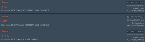 FiveM GTAProcess REImZFofje.png