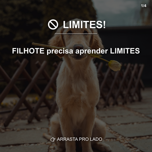 carousel 1776812401860 slide1.png