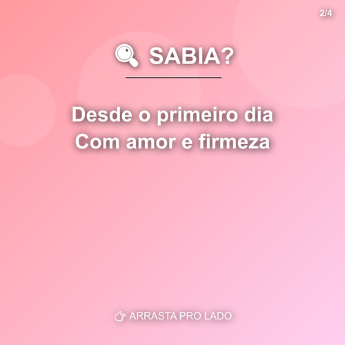 carousel 1776812402312 slide2.png