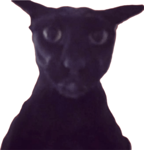 63d6abe5a00f.png