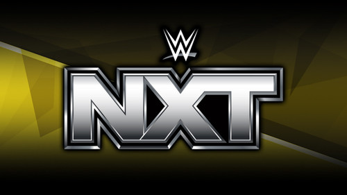 NXT logo 2024 2.jpg