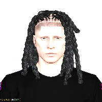6d328d3110e9.png