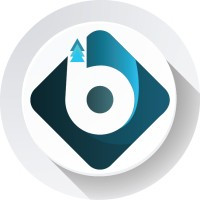 bams technologies logo.jpg