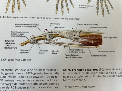 5a9078e870c4.jpg