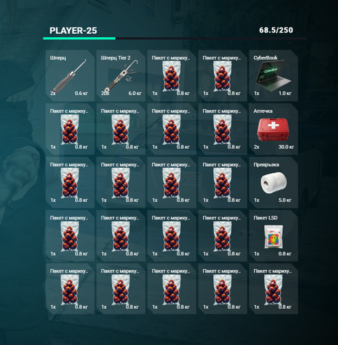 FiveM GTAProcess jBO35pxnyB.png